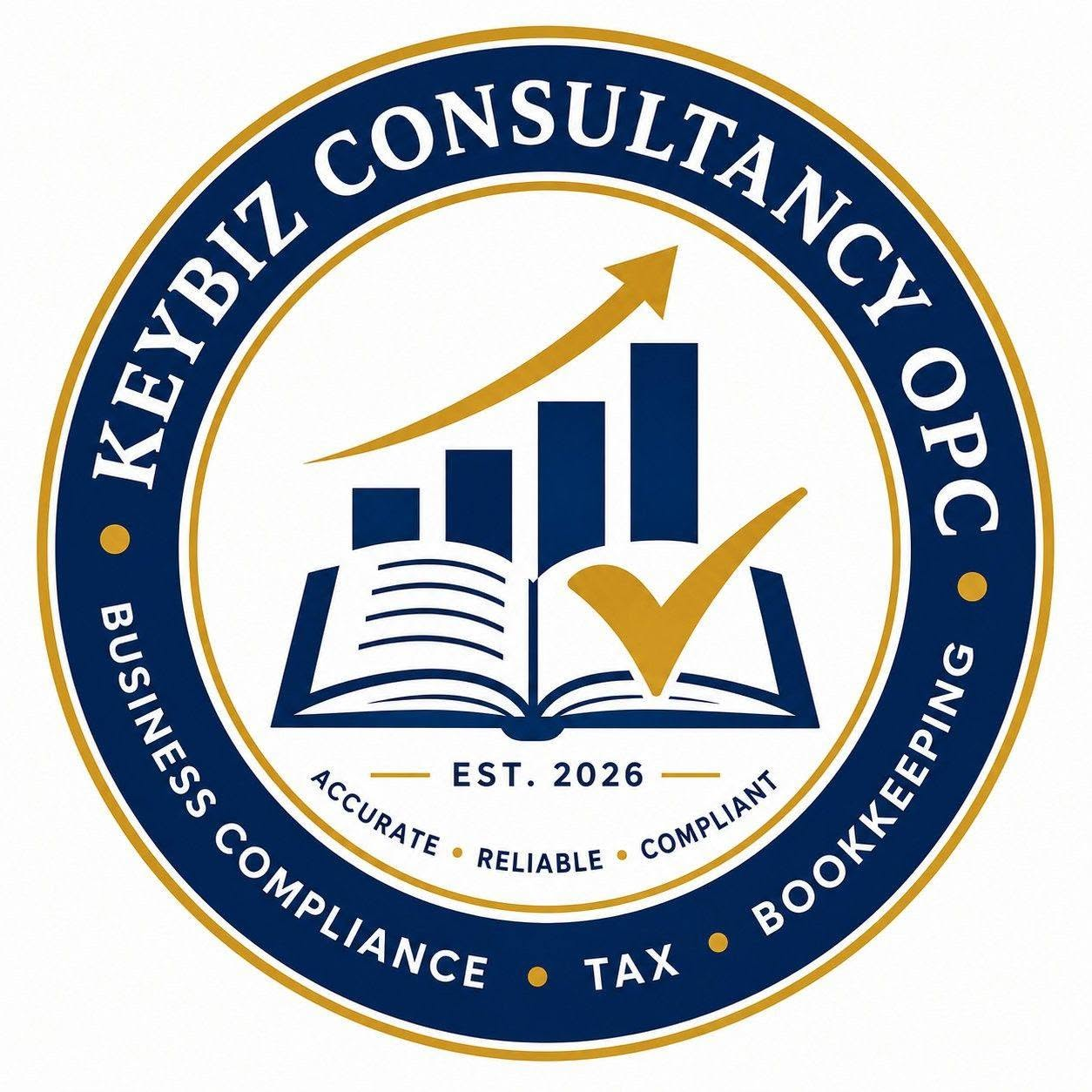 KeyBiz Consultancy logo